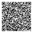 QR код "Авиционный"