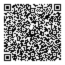 QR код "Айсберг"