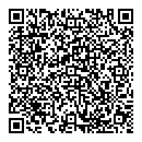 QR код "Луч"