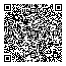 QR код "Zurich"