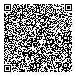 QR код "Планета шаров"