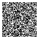 QR код "Звездный"