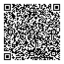 QR код "Лебедь"
