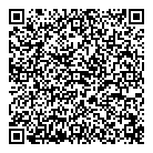 QR код "Toy.ru"