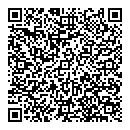 QR код "Глобус"