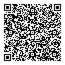 QR код "Глобус"