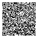 QR код "Глобус"