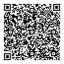QR код "Глобус"