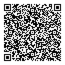 QR код "Глобус"