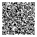 QR код "Глобус"