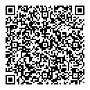 QR код "Алиса"