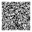 QR код "Глобус"