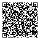 QR код "Нефертити"