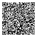 QR код "Nanomax"