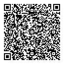 QR код "Яркий кадр"