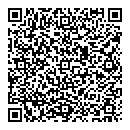 QR код "Спутник"
