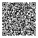 QR код "Inset"