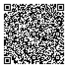 QR код "Toyzez.ru"