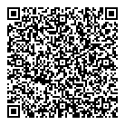 QR код "Shane"