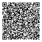 QR код "Оле Лукойе"