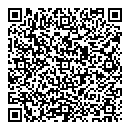 QR код "Спутник"
