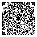 QR код "Айсберг"