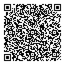 QR код "Шторм"