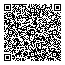 QR код "Ковчег"