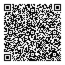 QR код "Игрушка"