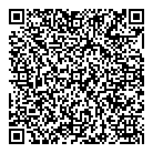 QR код "Профессионал"