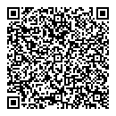 QR код "Глобус"