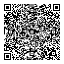 QR код "Иголочки"