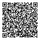 QR код "Глобус"