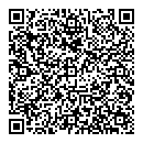 QR код "Глобус"