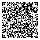 QR код "Звездный"