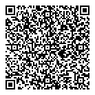 QR код "Домино"