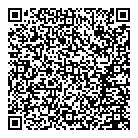 QR код "Профессионал"