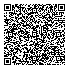 QR код "BMW-art"