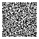 QR код "Moika Blesk"