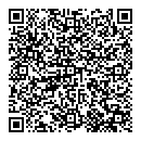 QR код "Блеск"
