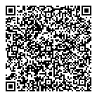 QR код "Мегадиск"