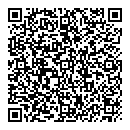 QR код "Блеск"