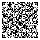 QR код "Медуза"