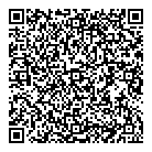 QR код "Вулкан"