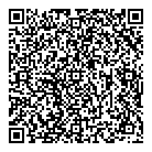 QR код "Мир игрушек"
