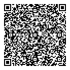 QR код "Динамо"
