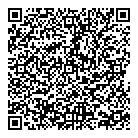 QR код "Спутник"