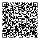 QR код "Глобус"
