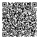 QR код "Антей"