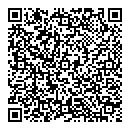 QR код "Нолики"